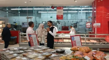 مهلة لـ949 منشأة علشان تضبط أوضاعها وتحرير 1125 مخالفة لقانون