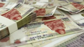 موعد صرف معاشات شهر ديسمبر 2025 2