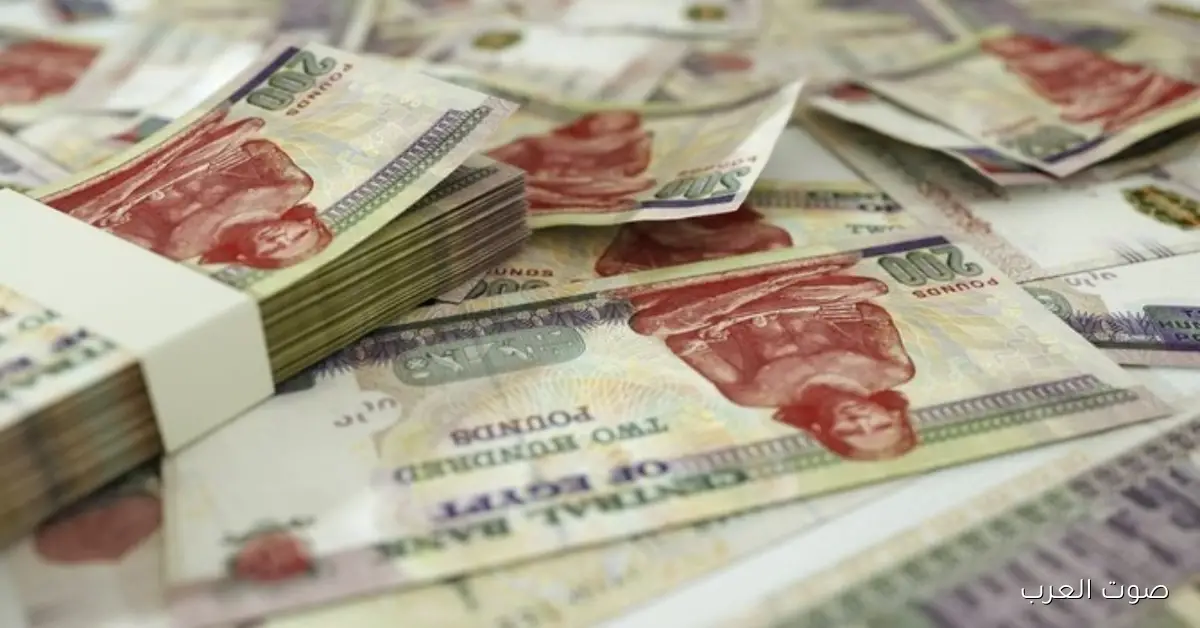 بشري سارة .. موعد صرف معاشات شهر ديسمبر 2025 وحقيقة تطبيق الزيادة الجديدة! 2 بشري سارة .. موعد صرف معاشات شهر ديسمبر 2025 وحقيقة تطبيق الزيادة الجديدة!