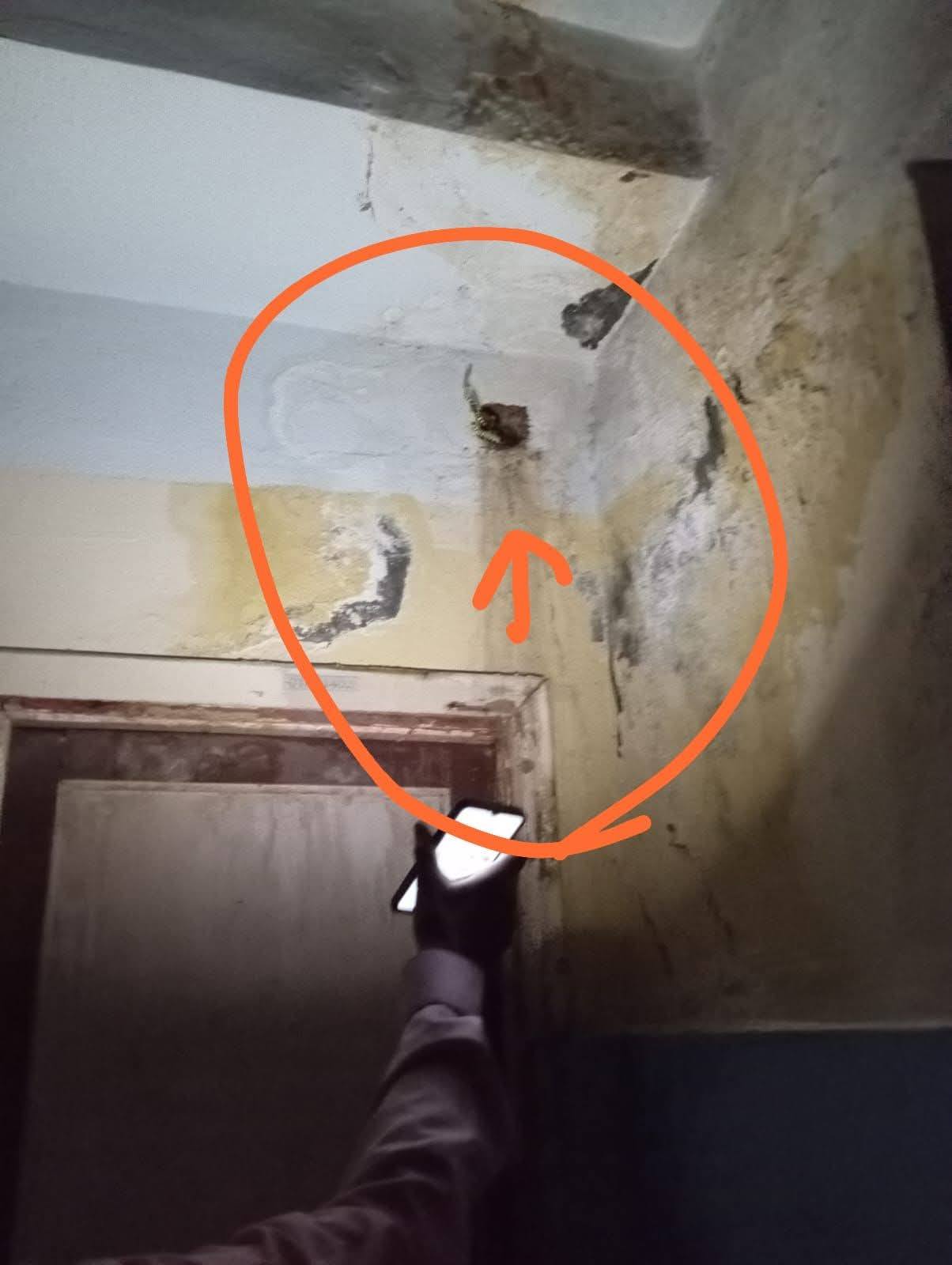 مياه الصرف بتغرق جدران مدرسة في حلمية الزيتون وأهالي الطلبة