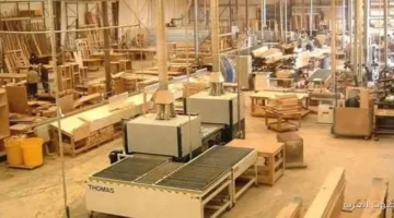 نتائج انتخابات غرفة الأخشاب فوز بالتزكية في الفئات الكبيرة والمتوسطة