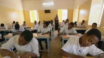 نتيجة الشهادة الابتدائية ولاية الجزيرة 2025