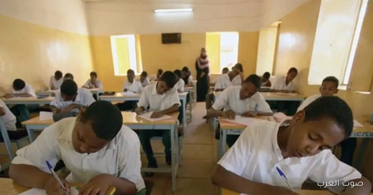 رسميًا الأن .. نتيجة الشهادة الابتدائية ولاية الجزيرة 2025 برقم الجلوس عبر الموقع result.sudani.sd