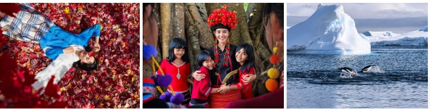 هواوي Mate 80 يرفع المنافسة أول صور رسمية بتظهر أداء