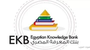 ورشة عمل في جامعة عين شمس مع بنك المعرفة المصري