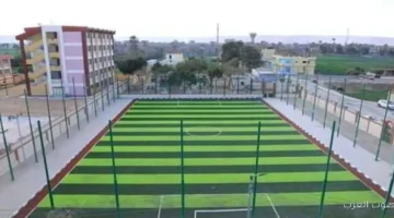 وزارة الرياضة بتبدأ تنفيذ خطة جديدة علشان تنمية النشء والشباب