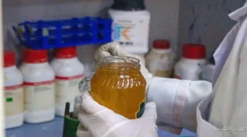 وزارة الزراعة تكشف عن غش عسل النحل من خلال برنامج