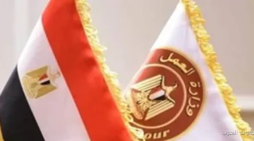 وزارة العمل بتنشر 275 وظيفة جديدة في مشروعات الطاقة تعرف