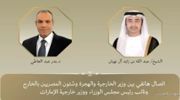 وزراء خارجية مصر والإمارات يتناقشوا عن الأوضاع في غزة ودور