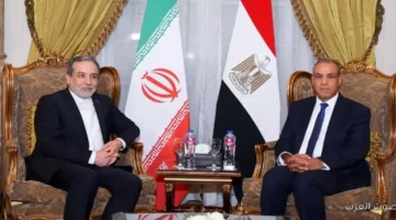 وزير الخارجية الحوار مع الكل مهم لتحسين الأمن والاستقرار النووي