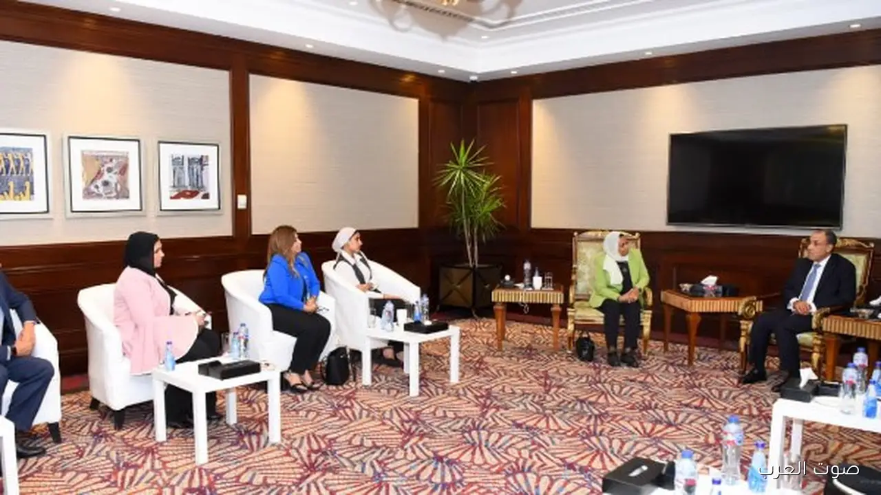 وزير الخارجية القادة الأوروبيون شايفين إن قيادة الرئيس السيسي نقطة