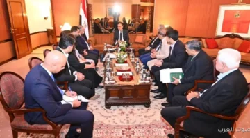 وزير الخارجية عايزين نكمل التعاون مع باكستان في مجموعة الدول