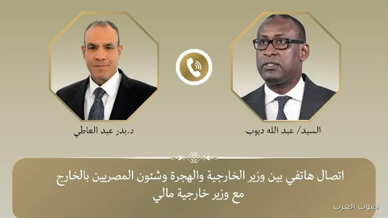 وزير الخارجية لازم نوفر أقصى حماية للمصريين اللي عايشين في