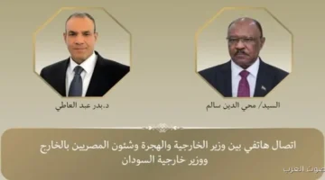 وزير الخارجية مصر رافضة تمامًا أي محاولات لتقسيم السودان أو
