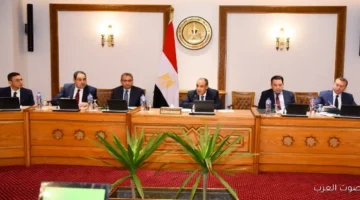 وزير الخارجية مصر هتسهل حركة التجارة مع تجمع الميركوسور