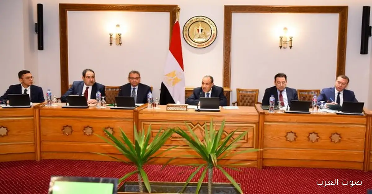 وزير الخارجية: مصر هتسهل حركة التجارة مع تجمع الميركوسور