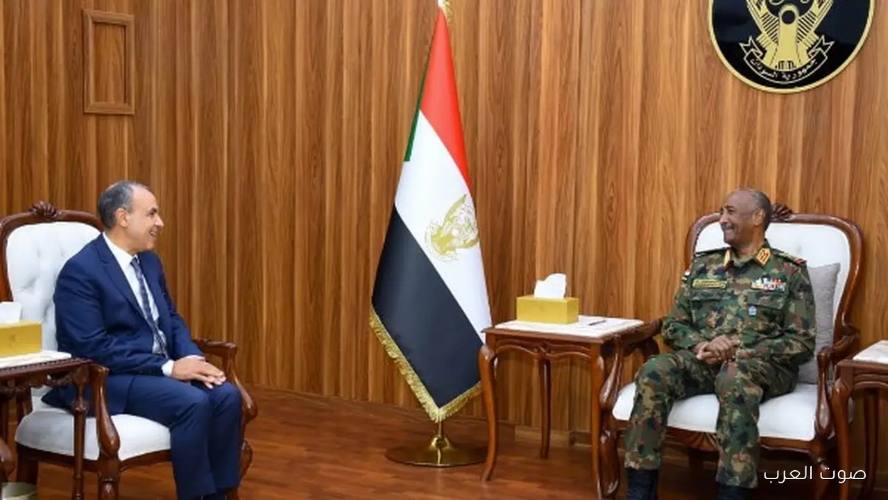 وزير الخارجية مصر واقفة مع السودان ودعمه في استقراره وأمنه