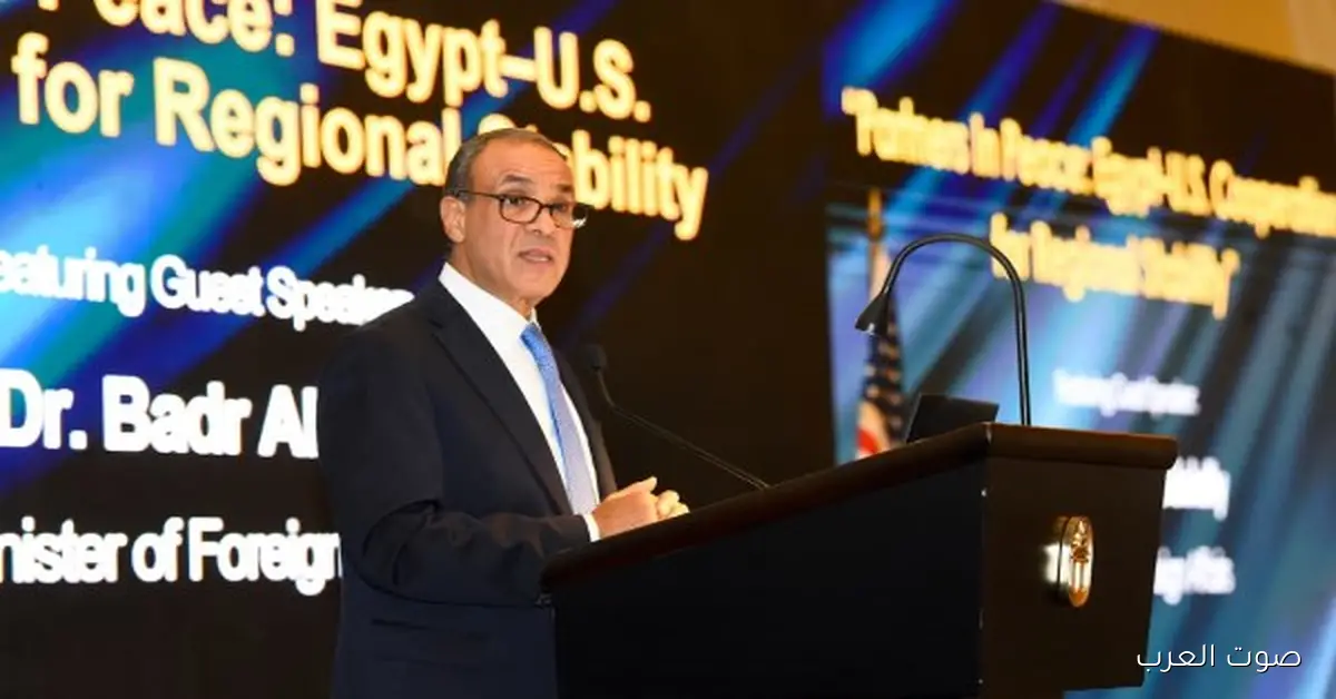 وزير الخارجية يتحدث عن موقف مصر من أزمات المنطقة في غرفة التجارة الأمريكية بالقاهرة