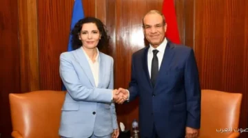 وزير الخارجية يقابل مفوضة الاتحاد الأوروبي لأزمات العالم