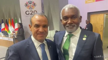 وزير الخارجية يقابل نظيره النيجيري خلال اجتماعات مجموعة العشرين
