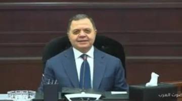 وزير الداخلية انتخابات النواب ماشية بشكل منتظم أثناء ما أدلى