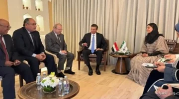 وزير الزراعة يناقش سبل دعم التعاون العربي لتطوير زراعة النخيل