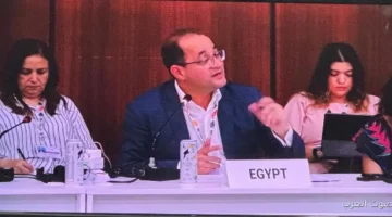 وزير المالية أكتر من 25 مؤسسة دولية بتساند المنصة الوطنية