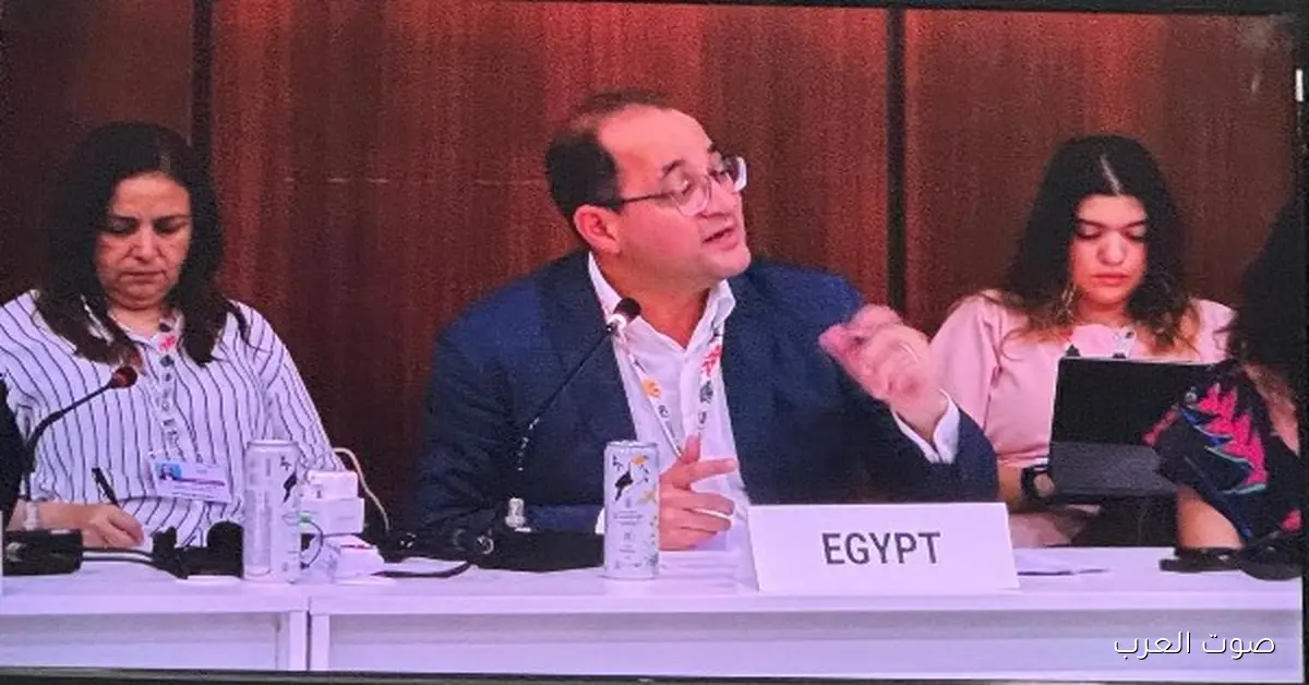 وزير المالية: أكتر من 25 مؤسسة دولية بتساند المنصة الوطنية لمصر عشان تعزز التكيف والمرونة والانتقال العادل