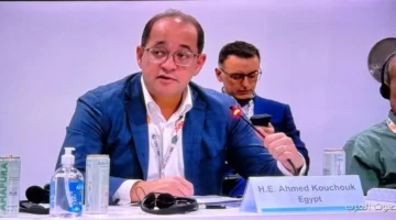 وزير المالية زيادة التمويل الميسر وتقليل مخاطر الاستثمارات المناخية في