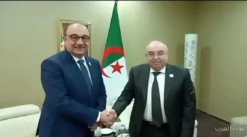 وزير قطاع الأعمال تعزيز التعاون الصناعي بين مصر والجزائر في