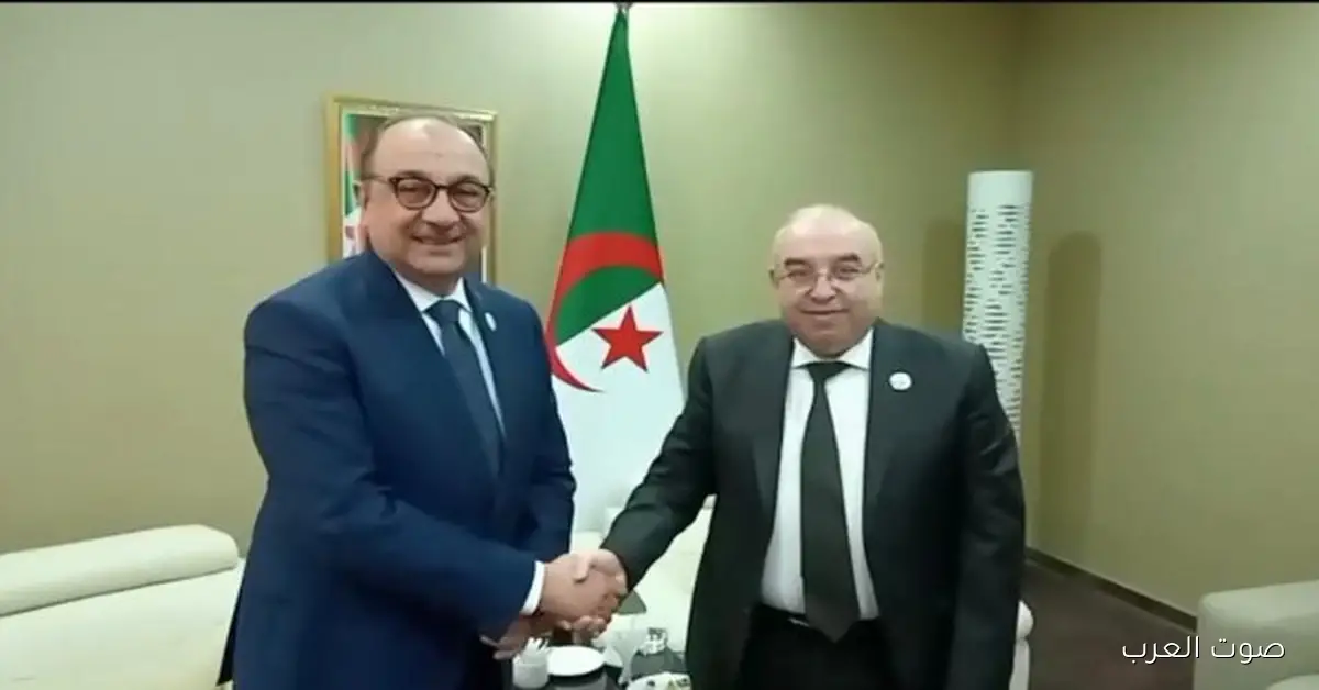 وزير قطاع الأعمال: تعزيز التعاون الصناعي بين مصر والجزائر في مجال الأدوية ودعم الصحة في أفريقيا