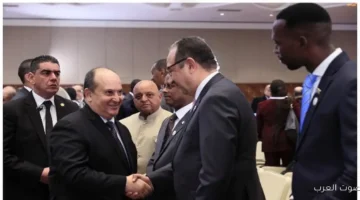 وزير قطاع الأعمال شراكة مع الجزائر والدول الأفريقية لتطوير صناعة