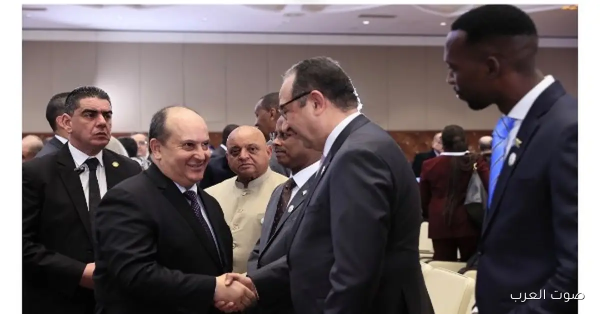 وزير قطاع الأعمال: شراكة مع الجزائر والدول الأفريقية لتطوير صناعة الأدوية