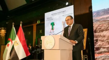 وزير قطاع الأعمال مصر مهتمة بتعزيز التعاون مع الجزائر