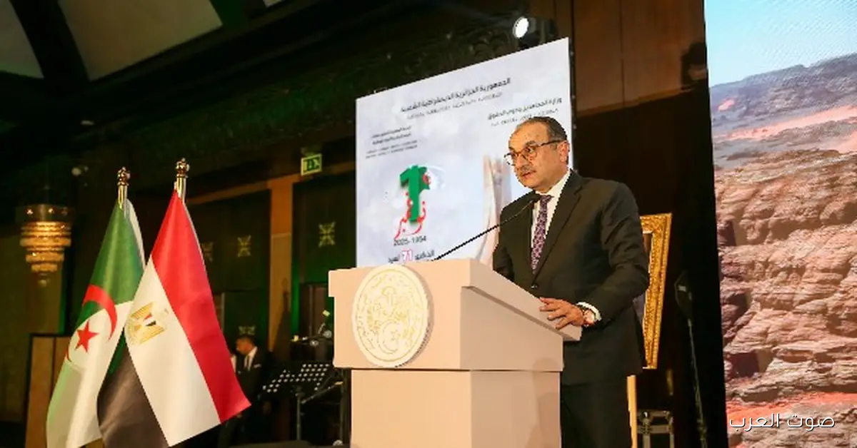 وزير قطاع الأعمال: مصر مهتمة بتعزيز التعاون مع الجزائر