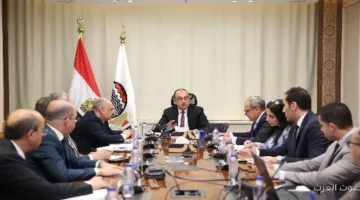 وزير قطاع الأعمال نظام الـERP هيغير شكل إدارة الموارد في