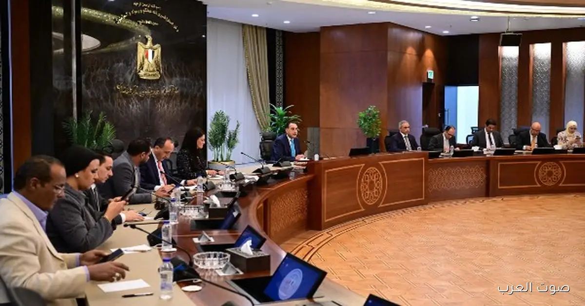 وزيرة التخطيط: الاستثمار الخاص زاد 25.9% ووصل لـ167.6 مليار جنيه وبيمثل 66% من الاستثمارات الكلية