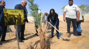 وزيرة التضامن تزرع نخلة في حديقة 30 يونيو بالوادي الجديد