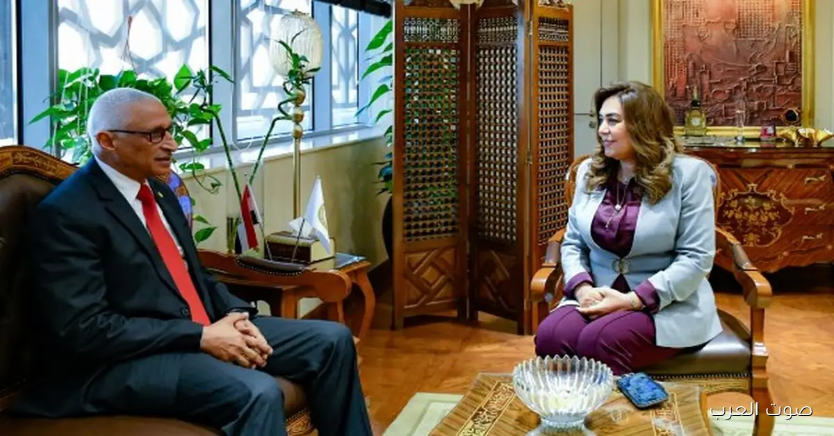 وزيرة التنمية المحلية تناقش مع محافظ شمال سيناء تفاصيل مشروعات التنمية والخدمات