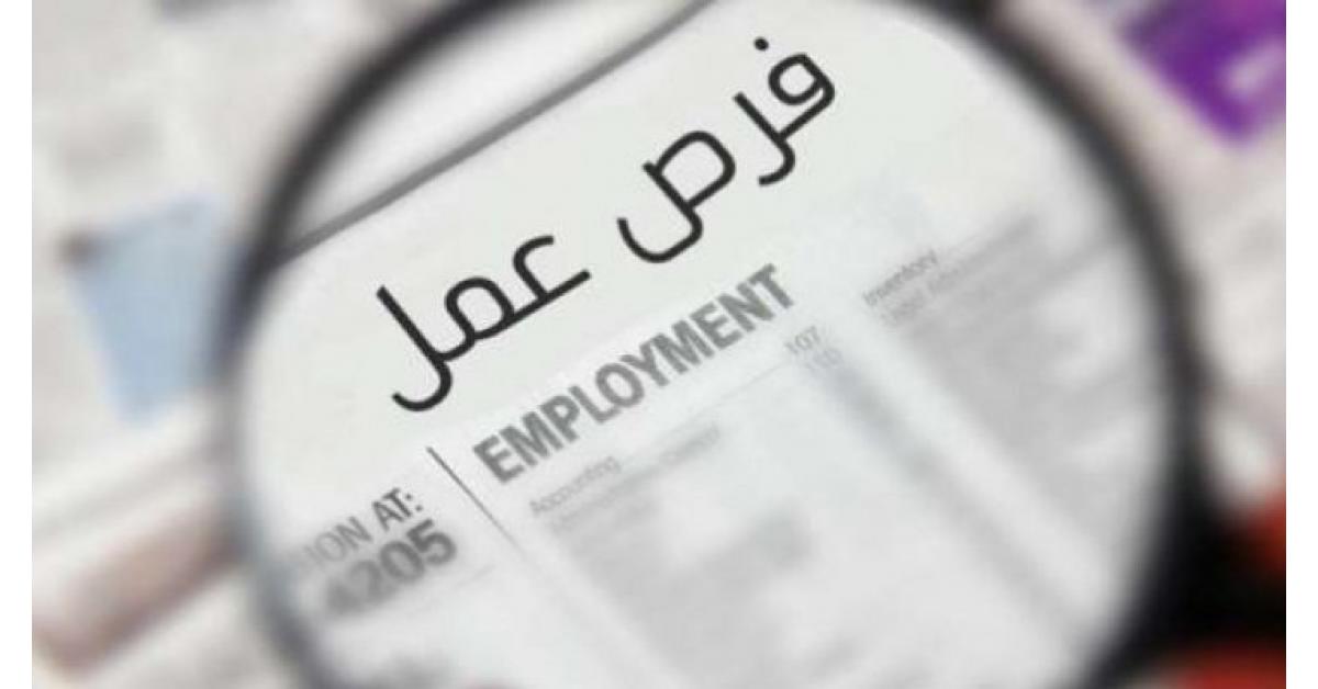 وظائف خالية بتخصصات معينة براتب 13150 جنيه شهريًا، قدم دلوقتي