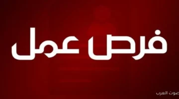 وظائف متاحة في 6 كليات بجامعة القاهرة 2025 كل التفاصيل