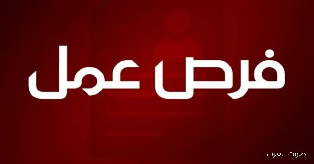 وظائف متاحة في 6 كليات بجامعة القاهرة 2025.. كل التفاصيل هنا