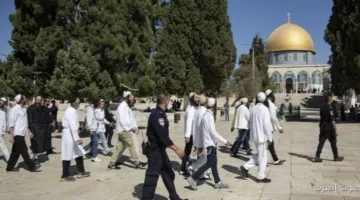 151 مستوطن دخلوا ساحة المسجد الأقصى