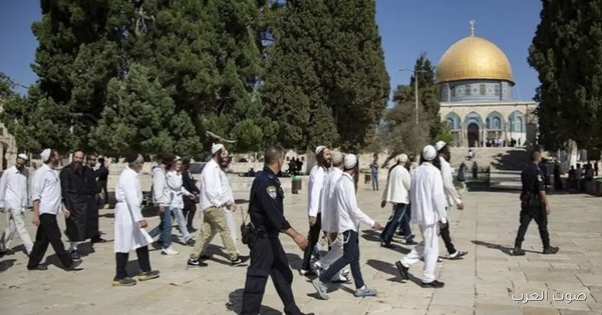151 مستوطن دخلوا ساحة المسجد الأقصى