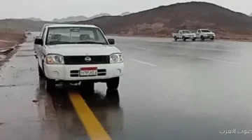 1764540114 حالة الطقس النهاردة الأرصاد بتحذر من شبورة شديدة وأمطار في