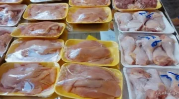 1764579623 اشتري وخزن أسعار الفراخ نزلت النهارده الإثنين، البانيه بقى بكام؟