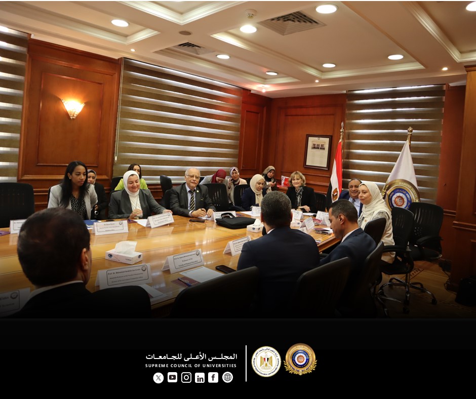 1764582573 792 الأعلى للجامعات يعمل ورشة عمل عن التدويل والشراكات العالمية