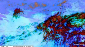 1764609940 الجو بكرة حرارة أقل وشبورة كثيفة هتبدأ في الوقت ده