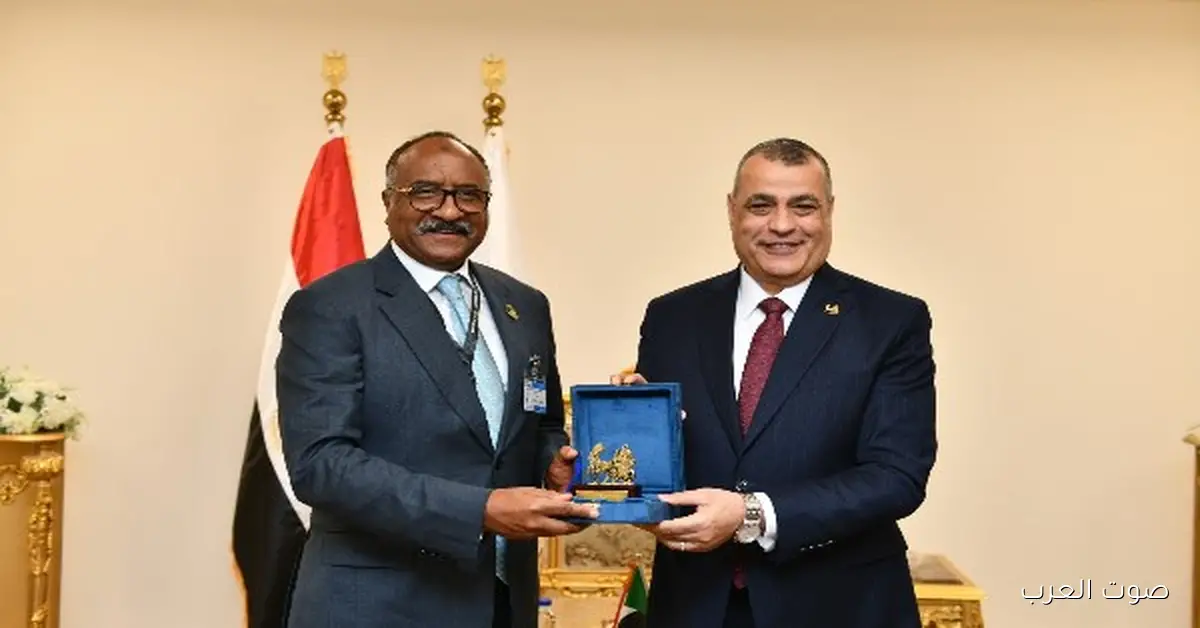 مصر والسودان يتفقوا على تقوية الشراكة العسكرية في EDEX