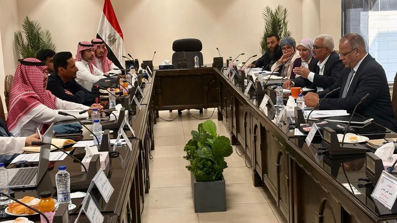 1764688542 662 رئيس نقل الكهرباء يتابع التنسيق لمشروع الربط الكهربائي بين مصر